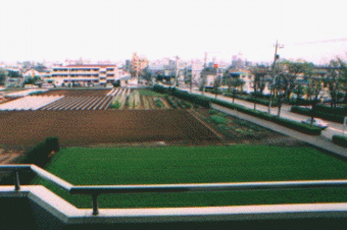 武蔵野市の自宅から見た風景。この景色を見ながら、原稿を書いていた。