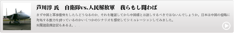 自衛隊vs.人民解放軍　我らもし闘わば